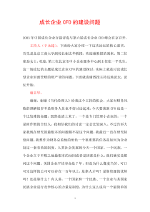 成长企业CFO的建设问题(1)