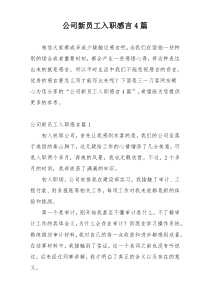 公司新员工入职感言4篇