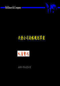 麦肯锡--兴唐战略规划_附战略、财务规划模板