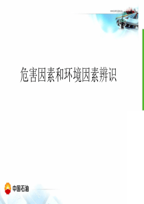 危害因素辨识、风险评估和控制