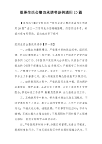 组织生活会整改承诺书范例通用20篇