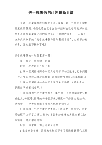 关于放暑假的计划最新5篇