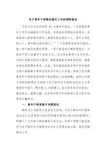 关于青年干部理论提升工作的调研报告