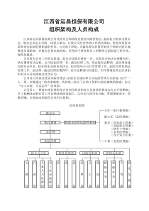 担保公司组织架构、风险控制及业务操作流程