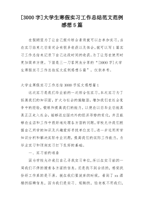 [3000字]大学生寒假实习工作总结范文范例感想5篇