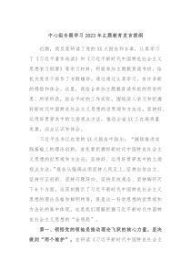 中心组专题学习2023年主题教育发言提纲