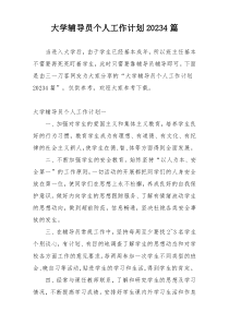 大学辅导员个人工作计划20234篇