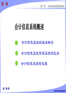 11会计信息系统