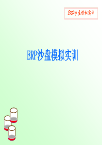 ERP沙盘模拟实训