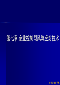 第七章-企业控制型风险应对技术