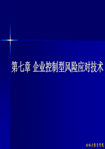 第七章企业控制型风险应对技术