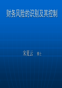 财务风险的识别及其控制