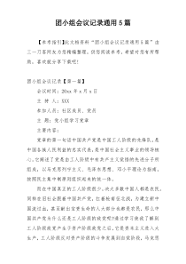 团小组会议记录通用5篇