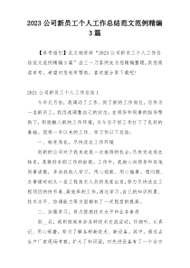 2023公司新员工个人工作总结范文范例精编3篇