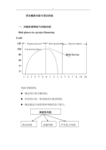 项目融资风险控制技术