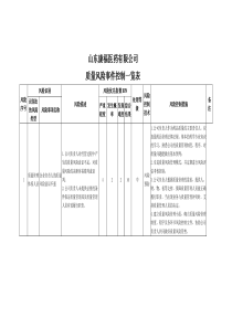 风险控制一览表(药品批发公司)