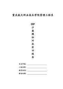 ERP沙盘模拟实训报告册