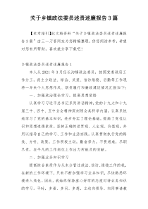 关于乡镇政法委员述责述廉报告3篇