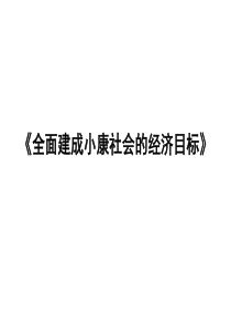 101全面建设小康社会的经济指标