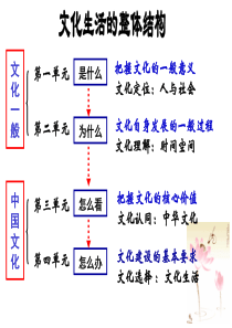 12-正式-文化与政治经济