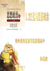 12文化与经济政治