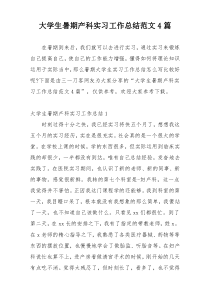 大学生暑期产科实习工作总结范文4篇