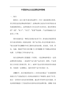 中国家电企业品牌延伸策略doc15(1)