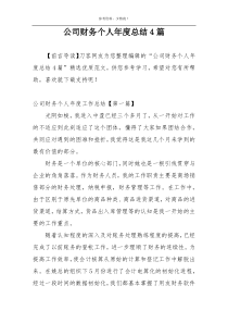 公司财务个人年度总结4篇