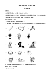 精品解析：湖南省岳阳市2020年中考英语试题（解析版）