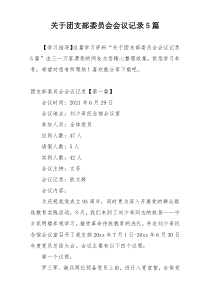 关于团支部委员会会议记录5篇