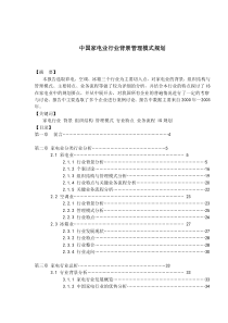 中国家电行业背景管理模式规划(1)