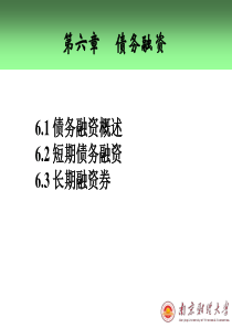 6第六章_债务融资