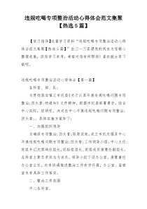 违规吃喝专项整治活动心得体会范文集聚【热选5篇】