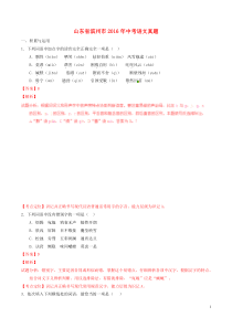 山东省滨州市2016年中考语文真题（含解析）