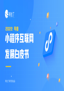 2022年度小程序互联网发展白皮书-阿拉丁研究院