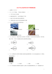 山东省枣庄市2019年中考物理真题试题（含解析）