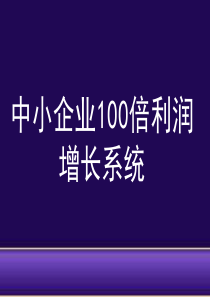 中小企业100倍增长利润系统