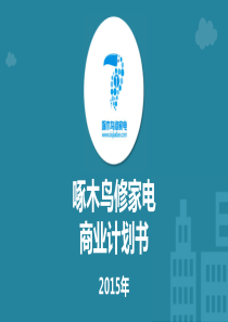 啄木鸟--互联网家电维修O2O平台商业计划书（PDF30页）