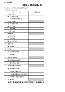 利润及利润分配表