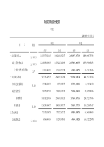 利润及利润分配表2