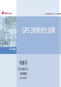 GP53财务优化-版更文件