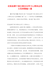 纪检监察干部办案安全学习心得体会范文范例精编5篇