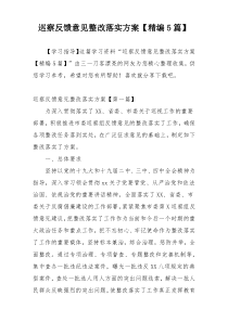 巡察反馈意见整改落实方案【精编5篇】