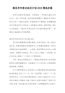 服务员年度总结及计划2023精选多篇