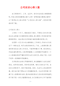 公司实训心得3篇