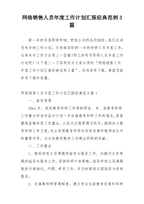 网络销售人员年度工作计划汇报经典范例3篇