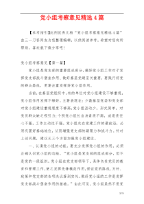 党小组考察意见精选4篇