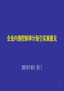 XXXX企业内部控制审计指引实施意见