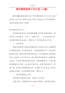 青年教师培养工作计划（4篇）