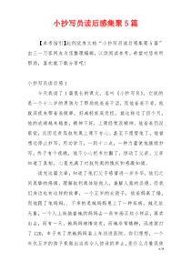 小抄写员读后感集聚5篇